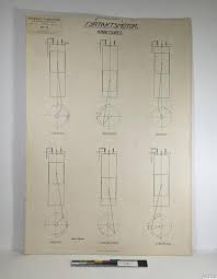 Image result for Pentarhopalopilia umbellulata