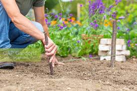 You can always add on later if you decide. Using Stake String Stock Photo By Gap Photos Image 1333447