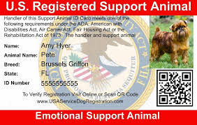 Also thank you to your wonderful team that explained the difference between a service dog and the type of animal i actually qualified for. How To Register Dog As Emotional Support Animal Arxiusarquitectura