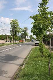 AngajÄƒri La VÄƒlenii De Munte Se CautÄƒ Soferi Strungari Si Frezori Gazeta De Prahova