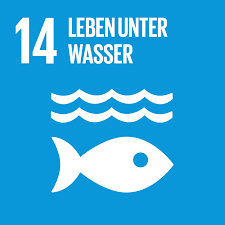 Gesamtheitlich schliessen sie ökologische, ökonomische und soziale dimensionen der nachhaltigen entwicklung mit ein. Agenda 2030 Bmz