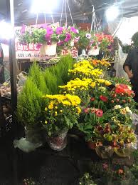 Conveniently located restaurants include gonbei, the smokehouse hotel & restaurant, and the dining room at cameron highlands resort. Golden Hills Pasar Malam 57 1 3 1 Prices Lodging Reviews Cameron Highlands Brinchang Tripadvisor