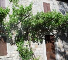 Dove cerchi appartamento in affitto? Case In Affitto Da Privati Modena Provincia Pag 3 Casadaprivato It