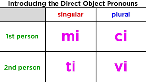 direct object pronouns in italian