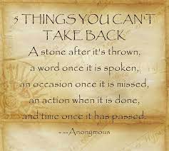 5 Things You Can T Take Back A Stone After It S Thrown A Word Once It Is Spoken An Occasion Once It Is Missed An Actio Speak Quotes Real Quotes Stone Quotes