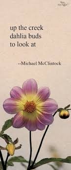 Working on book number two of the flowers of hawaii. 270 Mcclintock Haiku Poetry Ideas Haiku Poetry Haiku Poetry