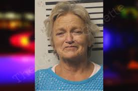 Beverly Beasley — Toombs County Jail Bookings