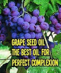 Takahashi et al (1998) conducted a study which showed that proanthocyanidins from grape seeds of the chardonnay variety promote proliferation of mouse hair. 28 Grapeseed Oil Ideas Grapeseed Oil Grapeseed Grapeseed Oil Benefits