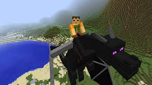 Each dragon can have their attack/health values customizable in. Dragon Mounts 1 10 2 Minecraft Mods Pet Dragon Dragon Minecraft Mods