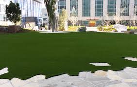 Maybe you would like to learn more about one of these? Beautifying Downtown San Francisco