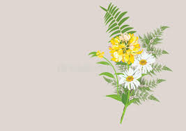 Draw a second circle to the petals of a daisy. Bouquet Of Daisy Flowers With Fern Leaves Isolated Drawing Stock Illustration Illustration Of Beauty Daisy 77518700