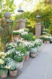 Pin By Helen Davies On Gardening Yard Beautiful Gardens Garden Inspiration Garden Containers