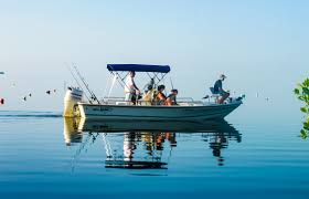 Bimini tops for small fishing boats. Bimini Tops Convertex
