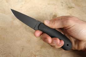 Image result for Sorindeia winkleri