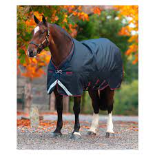 Amigo mga values its relationships with independent agents throughout its operating territories. Horseware Outdoordecke Amigo Bravo 12 Xl Original Lite Regendecken Ubergangsdecken Loesdau Passion Pferdesport