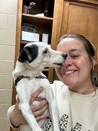 I lost one of my sweet fur babies in March. Her food was $90 per bag and  her liver medicine $55 per bottle. Chewy was kind enough to refund me for  her