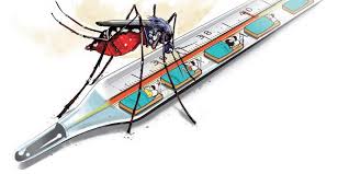 Choose from 400+ malaria mosquito graphic resources and download in the form of png, eps, ai or psd. Mosquito Menace Stings Residents Of Cuttack The New Indian Express