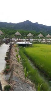 chu-di-my-can-ra-trang-trai-du-lich-farm-trip-chua-lanh-cho-6-6ha-chill-farm-tai-ninh- tan-ninh-hoa-3719-1