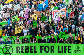 And if you do buy something new, consider carefully its environmental and social impact. a p. Extinction Rebellion é¢†è‹±
