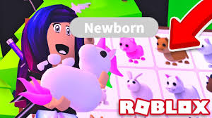 Enjoy playing roblox adopt me but you want to take trading legendary pets seriously or find out the pet values to know what they are worth and check if is. This Roblox Game About Adopting Pets Had More Players This Week Than Mount Blade Ii Bannerlord Pc Gamer