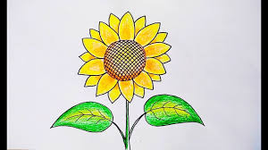 Gambar mewarnai bunga matahari ini juga memiliki ciri khas yaitu selalu menghadap ke arah matahari. Menggambar Dan Mewarnai Bunga Matahari How To Draw A Sunflower Youtube