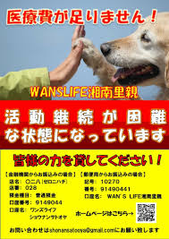 ワンズ ライフ 湘南