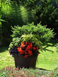 Most container gardens dry out quickly and the crystals help the soil stay moist and fertile. Container Planting Ideas Spring Gallery Of Container Plantings