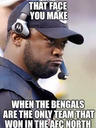 23 Bengals Fan Memes Ideas Cincinnati Bengals Bengals Football Memes
