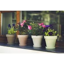 Jardiniere Bac A Fleur Pot A Fleurs 14 Cm Collection Limited Rouge Pas Cher Achat Vente Poterie Bac A Fleurs Rueducommerce De forme carrée ou rectangulaire, le bac à fleur s'adapte parfaitement à l'aménagement d'une terrasse. bac a fleur pot a fleurs 14 cm