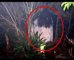 Sistem kami menemukan 25 jawaban utk pertanyaan tts jenis hantu. Survei Menurut Penilaian Para Sutra Dara Film Horor Hantu Jenis Hantu Yg Paling Jeleks Dari Sisi Tampilan Rupa Itu Berasal Dari Indonesia Di Banding Negara Lain Seprti America Cina Dn Lain Nya Bagai Mana