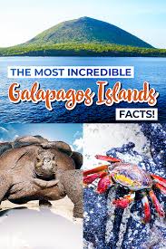 The Most Incredible Galapagos Islands Facts Learn More About This Bucket List Destination In 2020 Galapagos Galapagos Islands Ecuador Travel