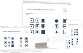 What do iq tests test? Take An Instant Iq Test Now We Are The Most Accurate Iq Test Available With Over 99 Accuracy