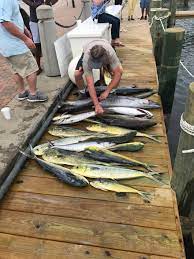 May 2019 Fishing Thread The Key Play