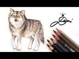 Wolf Zeichnen Lernen Wolfzeichnung How To Draw A Wolf Kak Se Risuva Vlk Youtube Drawings Draw Wolf