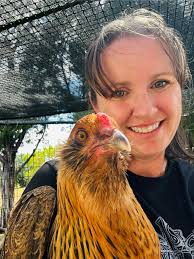 Color matching eggs to make learning fun !