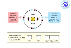 There are two valence electrons in each hydrogen atom. Tetravalency Of Carbon Catenation Hybridisation And Examples