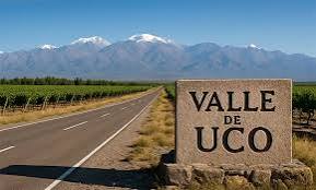 Una hectárea de vid en el Valle de Uco produce pérdidas por $ 2,6M – Noticampo