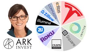 Ark's thematic investment strategies span market capitalizations, sectors, and geographies to focus on public companies that are the leaders, enablers, and beneficiaries of disruptive innovation. 3 Important Things I Ve Learned Reviewing Ark S Etfs Seeking Alpha