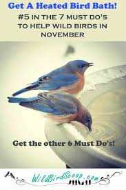 Bird Watching Guide November A Monthly Series To Help Wild Birds Wild Bird Scoop Wild Birds Attract Wild Birds Heated Bird Bath