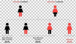 Sickle Cell Disease Genetic Disorder Stroke Lethal