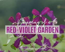 Check spelling or type a new query. Meaning Of Purple Color Psychology And Symbolism Sensational Color