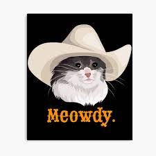 Check out onmuga (online multiplayer games). Sad Cat Wearing A Cowboy Hat Meme Canvas Print By Celestialhco Redbubble