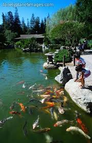 Japanese Friendship Garden San Jose Ca San Jose California California Travel Japanese Garden