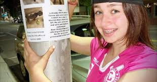 Reward increases again in Cairo abandoned dog case