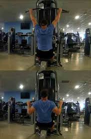 biceps workout program for huge gains