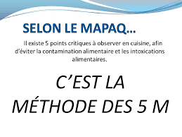 Formation Aux Animatrices Pays D En Haut En Forme Ppt Telecharger