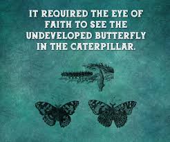 Preemie catapillar had no results. Butterfly And Caterpillar Quote Template Postermywall