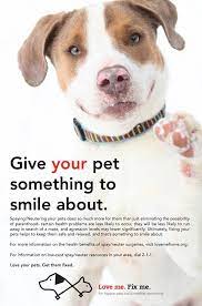 A Great Spay Neuter Campaign From The Indy Humane Society Neuter Humane Society Spay