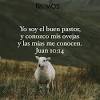 Los cambios se pueden apreciar en los cuatro. Https Encrypted Tbn0 Gstatic Com Images Q Tbn And9gctu1j4 Wngez7doqvmqmzxuyr2kmowrnyugk24skyxyfmkjgcel Usqp Cau