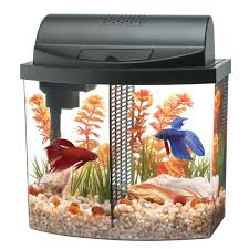 Aqueon Betta Bow Desktop Aquarium Led Kit 2 5 Gal Peceras Para Bettas Peceras Juguetes Para Mascotas